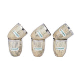 Coconut Stainless Steel Printed Designer Multi Color Water Glass/Tumbler - Capacity -300ML -Pack of 6 Glasses