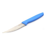 Coconut Stainless Steel Knife