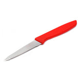 Coconut Stainless Steel Knife