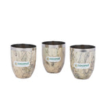 Coconut Stainless Steel Printed Designer Multi Color Water Glass/Tumbler - Capacity -300ML -Pack of 6 Glasses