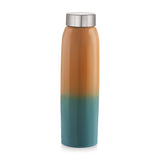 Coconut WB27 Popo Stainless Steel Water Bottle | Stylish Dual Tone Finish | Leakproof, BPA-Free, Rust-Proof Metal Bottle | Durable & Sleek for Office, Gym & Travel.